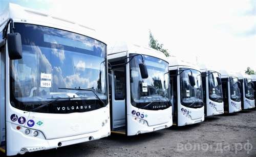 Автобусы Волгабас для Вологды